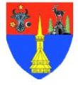 Erb župy Maramures