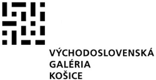 Logo VSG